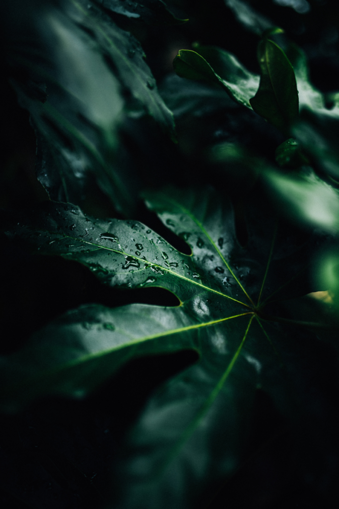 Untitled design
